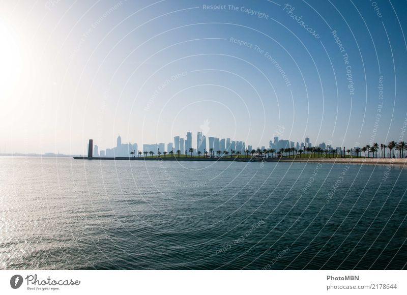 Skyline with palm trees Water Cloudless sky Bay Ocean Doha Qatar Gulf state Capital city Port City Deserted High-rise Bank building Architecture Esthetic
