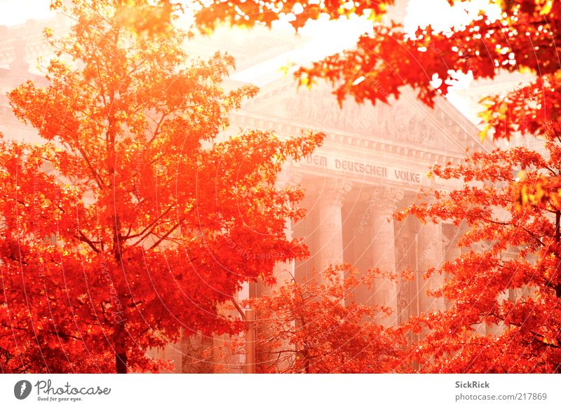 ...berlin autumn Culture Nature Autumn Tree Berlin Manmade structures Building Architecture Facade Tourist Attraction Landmark Reichstag Warmth Red