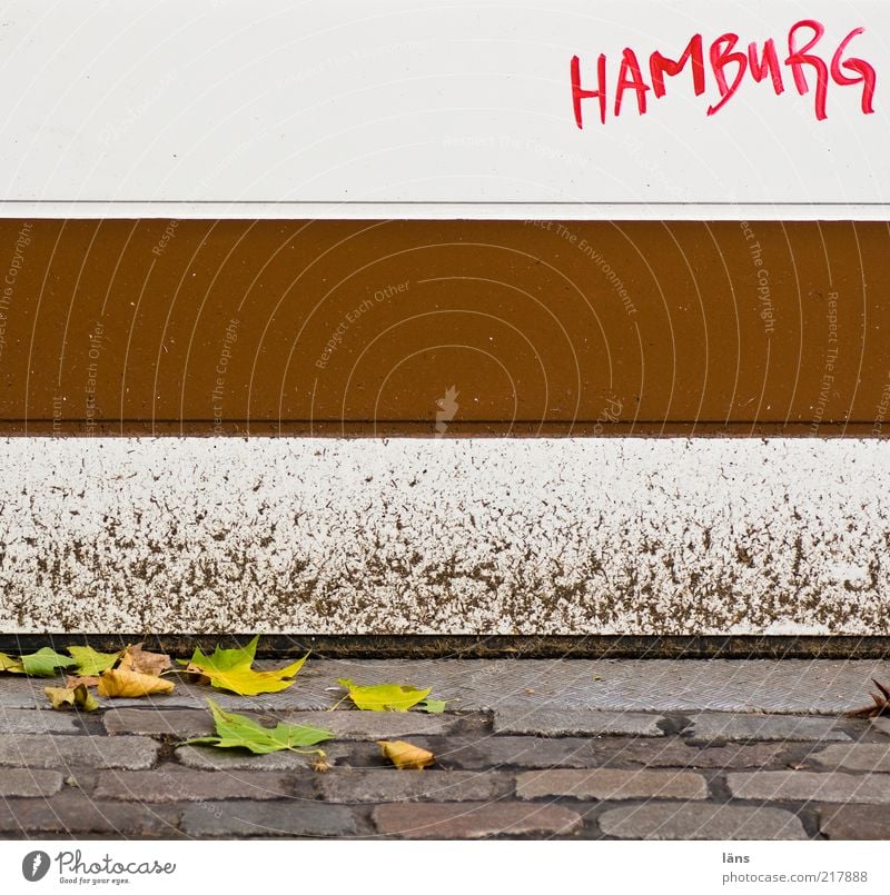 Hamburg is brown-white Autumn Leaf Lanes & trails Stone Metal Characters Graffiti Dirty Brown White Cobblestones Garage door Schanzen quarter