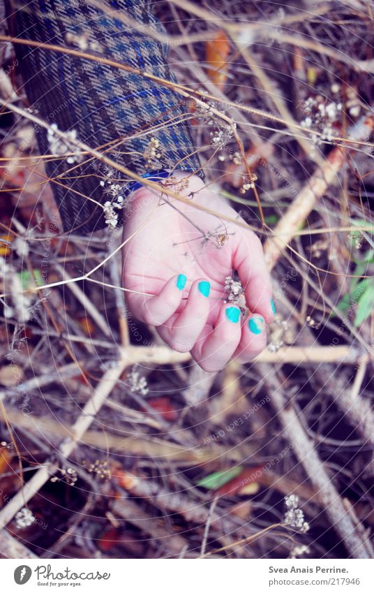 death in the woods. Style Manicure Nail polish Feminine Young woman Youth (Young adults) Arm Hand Fingers Autumn Plant Branch Lie Dream Sadness Cool (slang)