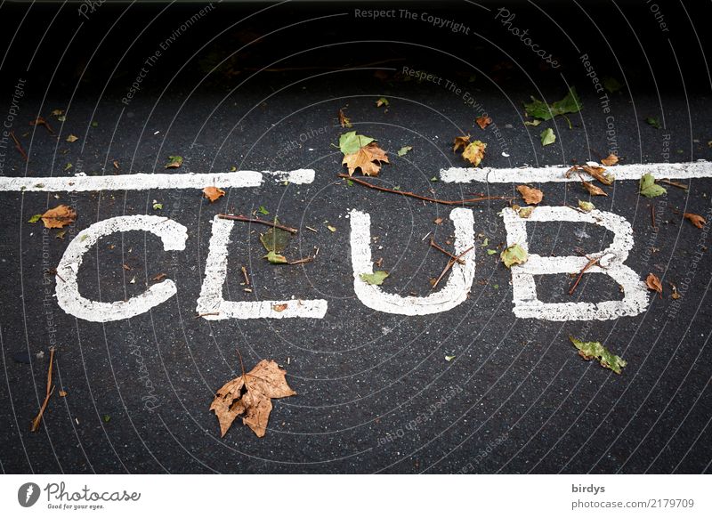 clubbing Night life Event Club Disco Going out Feasts & Celebrations Clubbing Autumn leaves Characters Line Positive Yellow Gray Black White Joy Together