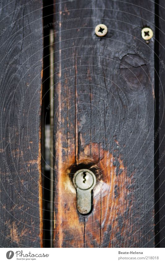 Used Lock - securely closed Door Wood Brown Safety Protection Attentive Calm Judicious Smart Fear Dangerous Door lock Second-hand Closed Copy Space middle