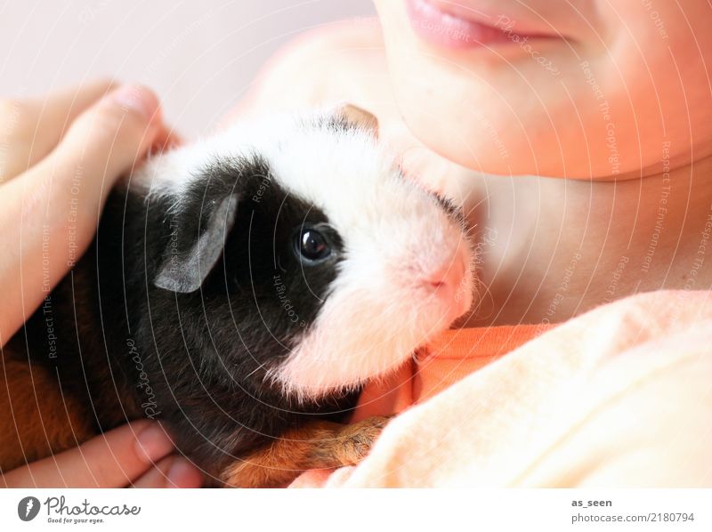 Humans and animals Child Infancy Animal Pet Animal face Pelt Zoo Petting zoo Guinea pig Nose Eyes 1 To hold on Communicate Love Small Cute Soft Pink Black White