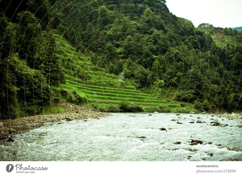 The mountain calls Environment Nature Landscape Plant Water Sunlight Summer Weather Foliage plant Agricultural crop Rice Travel photography Brook Guilin China