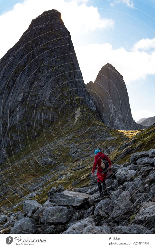Gipfelsturm, Norway Athletic Adventure Far-off places Freedom Mountain Hiking 1 Human being Elements Rock Peak Lofotes Exceptional Dark Fantastic Gigantic Large