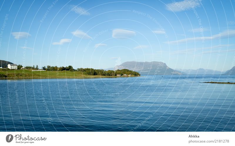 summer idyll, Norway, sea, blue, nice weather Harmonious Well-being Contentment Relaxation Calm Vacation & Travel Summer Summer vacation Landscape Elements