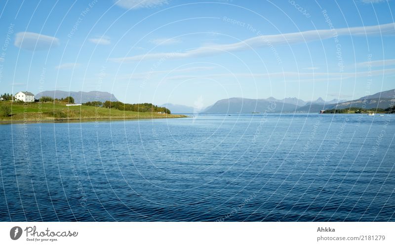 Summer landscape in Norway, fjord, blue Harmonious Contentment Senses Relaxation Calm Meditation Vacation & Travel Tourism Trip Adventure Nature Landscape Sky