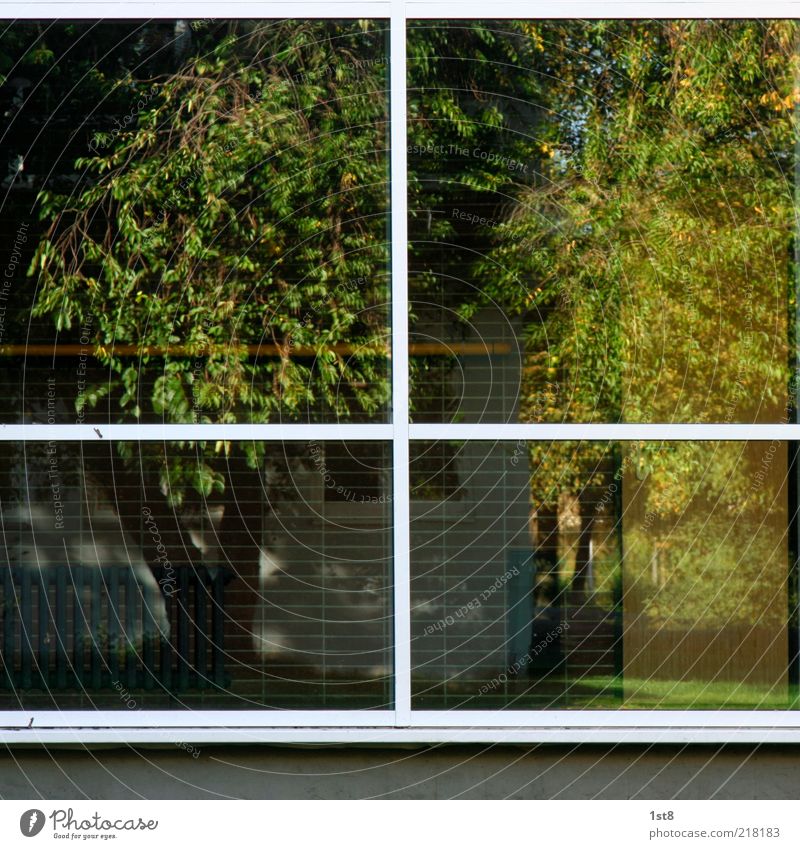 windows 10 Plant Tree Grass Garden House (Residential Structure) Manmade structures Building Wall (barrier) Wall (building) Facade Window Sharp-edged Heating
