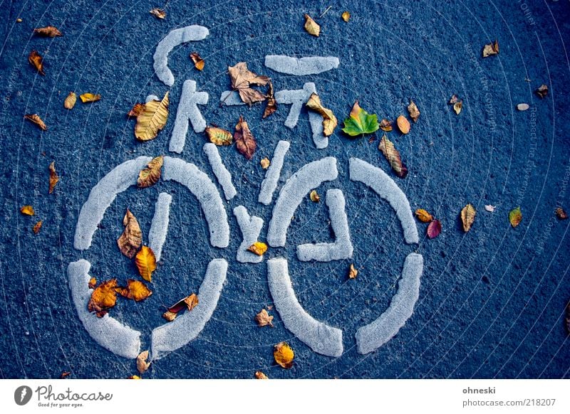 cycle Autumn Leaf Traffic infrastructure Passenger traffic Street Lanes & trails Sign Signs and labeling Road sign Movement Colour photo Evening Bird's-eye view