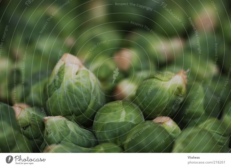 son cabbage (Brussels sprouts) Food Nutrition Healthy Green Cabbage brassica Milkwort family Vegetable Colour photo Close-up Many Multiple Natural Ecological