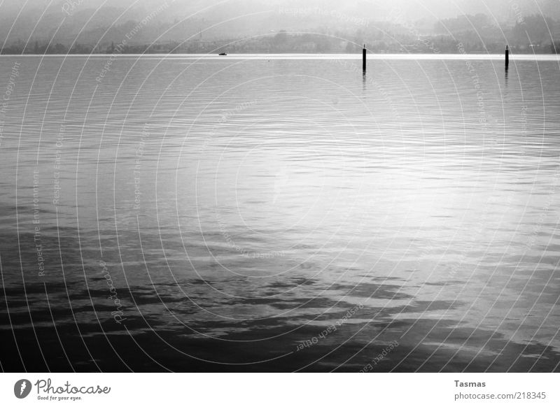 How to disappear completely Water Lakeside Calm Flow Liquid Black & white photo Deserted Contrast Reflection Mooring post Surface of water Copy Space bottom