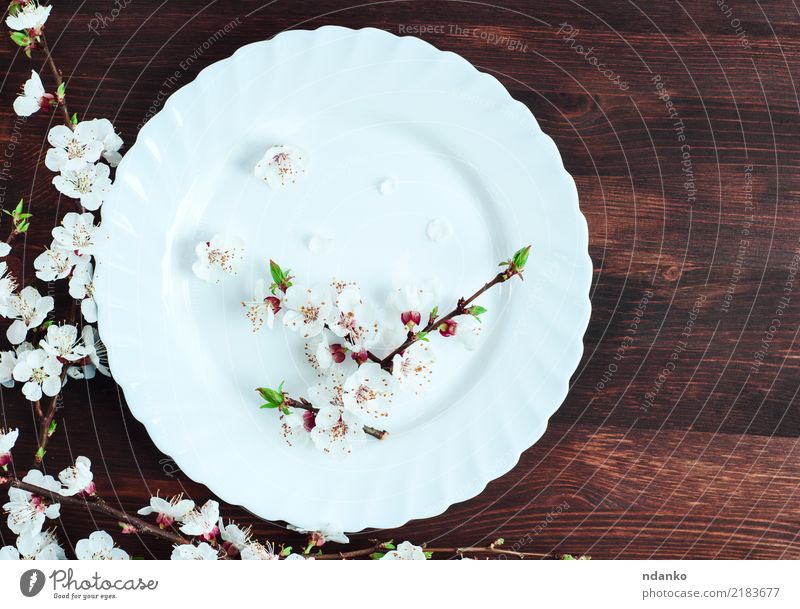 empty round white plate Lunch Dinner Diet Plate Table Kitchen Restaurant Flower Wood Blossoming Dark Clean Brown Black White background Dish cooking utensil