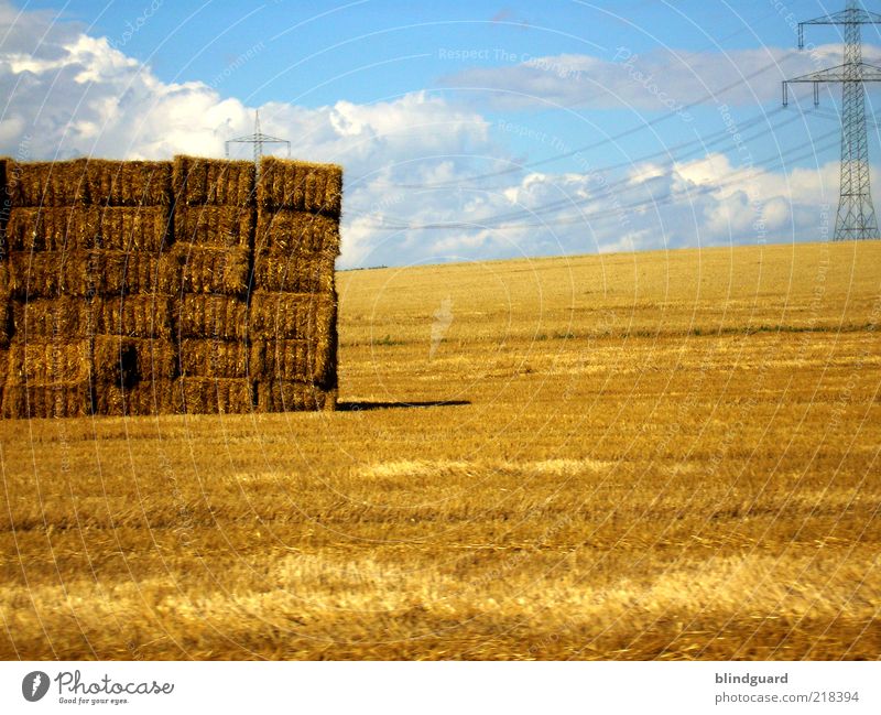 Golden Autumn Landscape Sky Clouds Summer Beautiful weather Agricultural crop Field Blue Yellow Energy Feed Straw Bale of straw High voltage power line