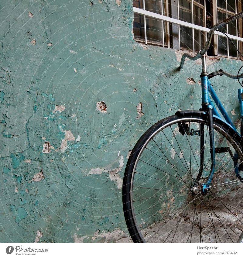 Beautiful old Wall (barrier) Wall (building) Window Bicycle Old Exceptional Dirty Dark Trashy Gloomy Blue Black Decline Transience Plaster Colour Flake off