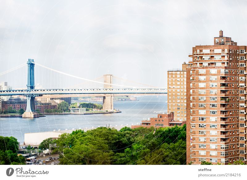 Living in the city V Town House (Residential Structure) Vantage point New York City Manhattan Manhattan Bridge Brooklyn Bridge Living or residing Rent