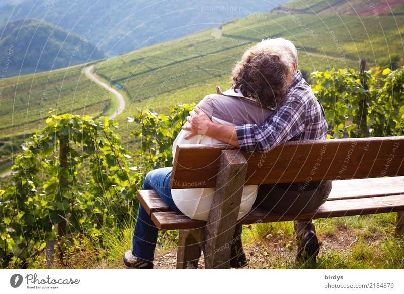 Two seniors are sitting on a bench in a vineyard and kissing Life Well-being Trip Hiking Female senior Woman Male senior Man Couple Partner Senior citizen 2