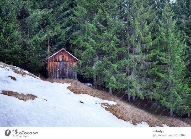 wooden hut in the winter evergreen forest Hunting Vacation & Travel Winter Snow Mountain Hiking House (Residential Structure) Nature Landscape Forest Hill Alps