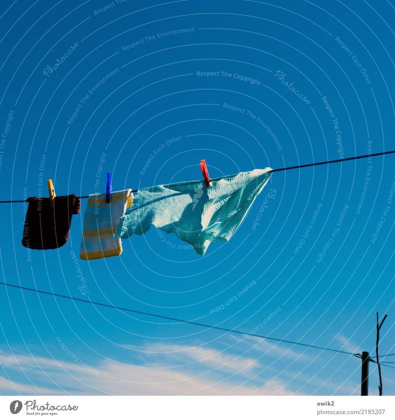 tumble dryers Sky Clouds Beautiful weather Scaredy-cat Rag Floor cloth Clothesline Clothes peg Judder Plastic Hang Blue Dry Blue sky Wind Colour photo