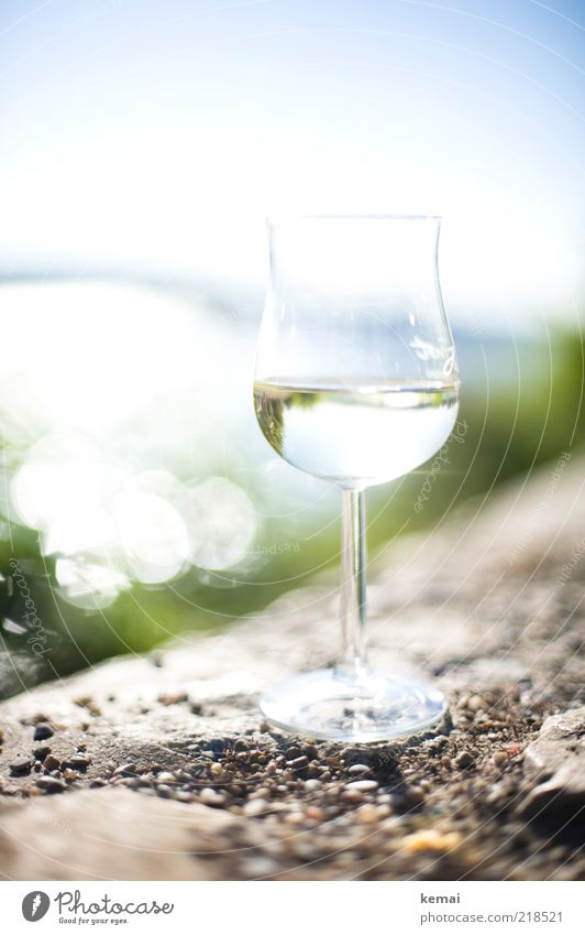 A glass of Riesling Food Rheingau Beverage Drinking Alcoholic drinks Wine White wine Whitewine glass Sunlight Summer Beautiful weather Stone Elegant Bright
