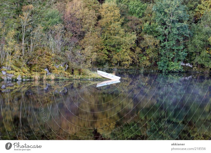 water feature Environment Nature Plant Elements Water Autumn Tree Wild plant Forest Lakeside Natural Watercraft Jetty Water reflection Mirror image Calm Rowboat