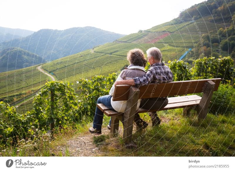 A couple of senior citizens sitting relaxed on a bench in the vineyard and enjoying the view Well-being Calm Trip Masculine Feminine Female senior Woman