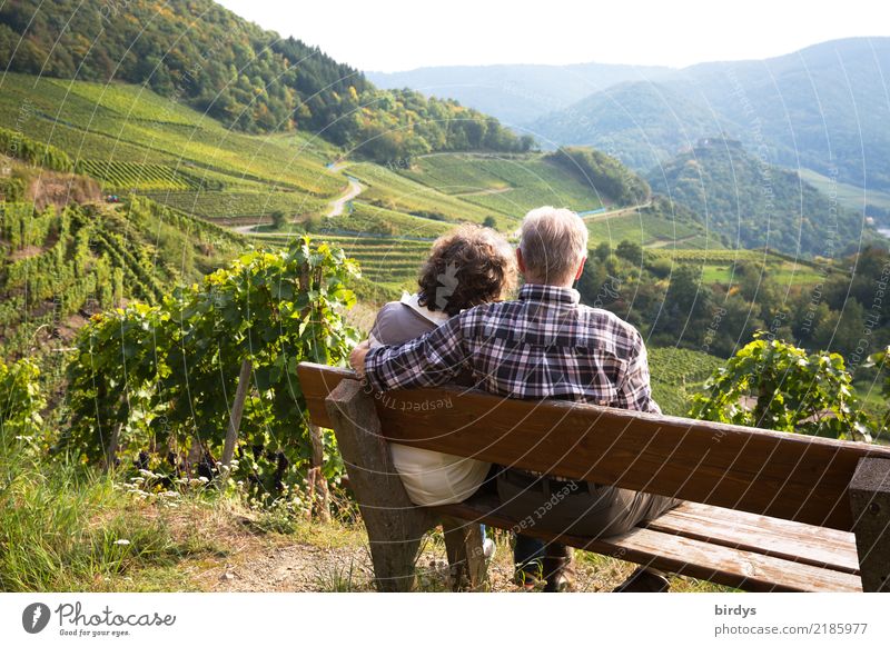 a couple of senior citizens are sitting comfortably on a bench in the vineyard, looking out into the Ahr valley. He has lovingly put his arm around her Life