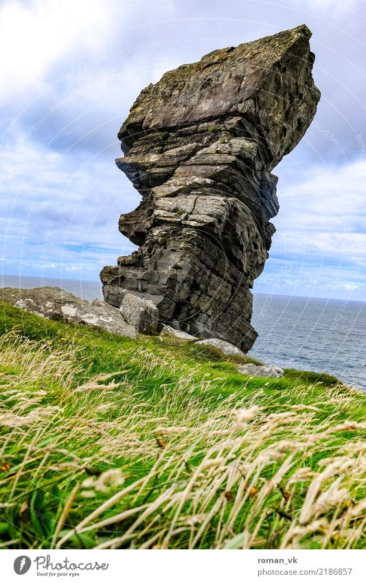 remnants Nature Landscape Plant Elements Earth Sky Grass Bushes Meadow Rock Coast Ocean Old Long Strong Northern Ireland Cliffs of Moher Monolith Wild