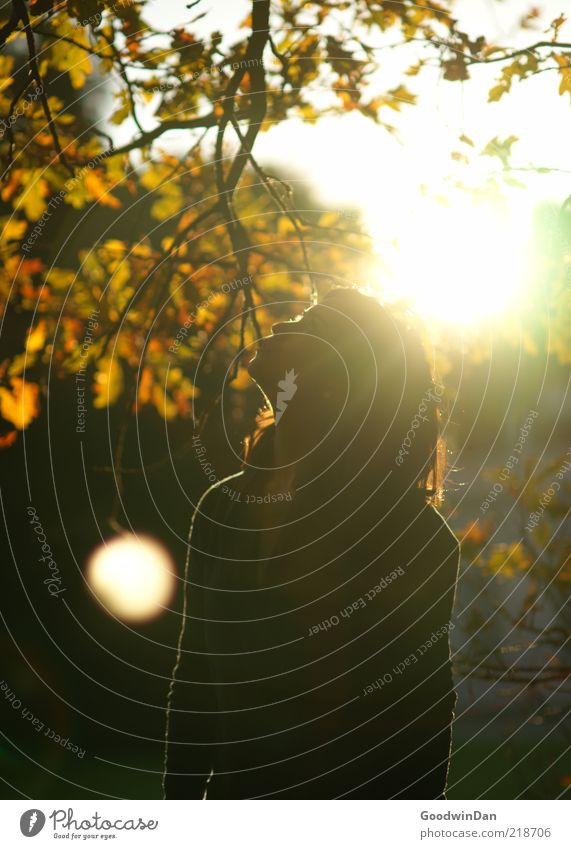 Defying the sun III Human being Feminine 1 Environment Nature Emotions Moody Beautiful Freedom Light heartedness Colour photo Exterior shot Evening Twilight