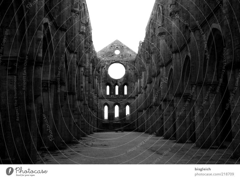 San Galgano (Italy) II Europe Church Ruin Window Wall (barrier) Tourist Attraction Stone Respect Loneliness Belief Religion and faith Calm Moody Tuscany