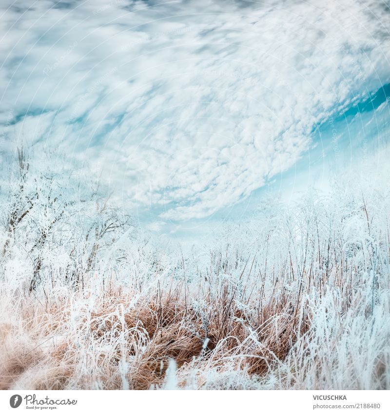 647,200+ Winter Backgrounds Stock Illustrations, Royalty-Free