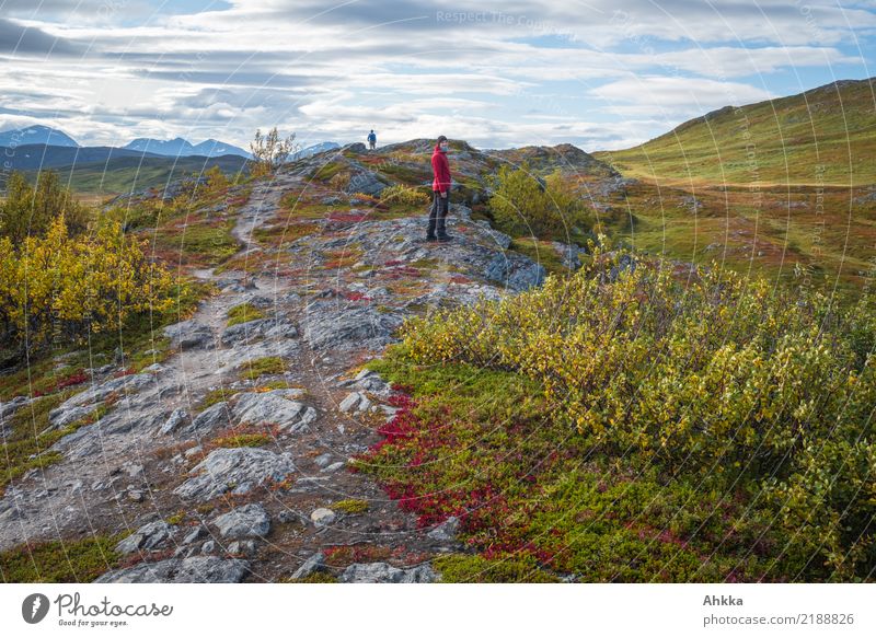 autumn mountains Vacation & Travel Trip Adventure Mountain Hiking 2 Human being Landscape Autumn Fjeld Norway Lanes & trails Walking Free Infinity Wild