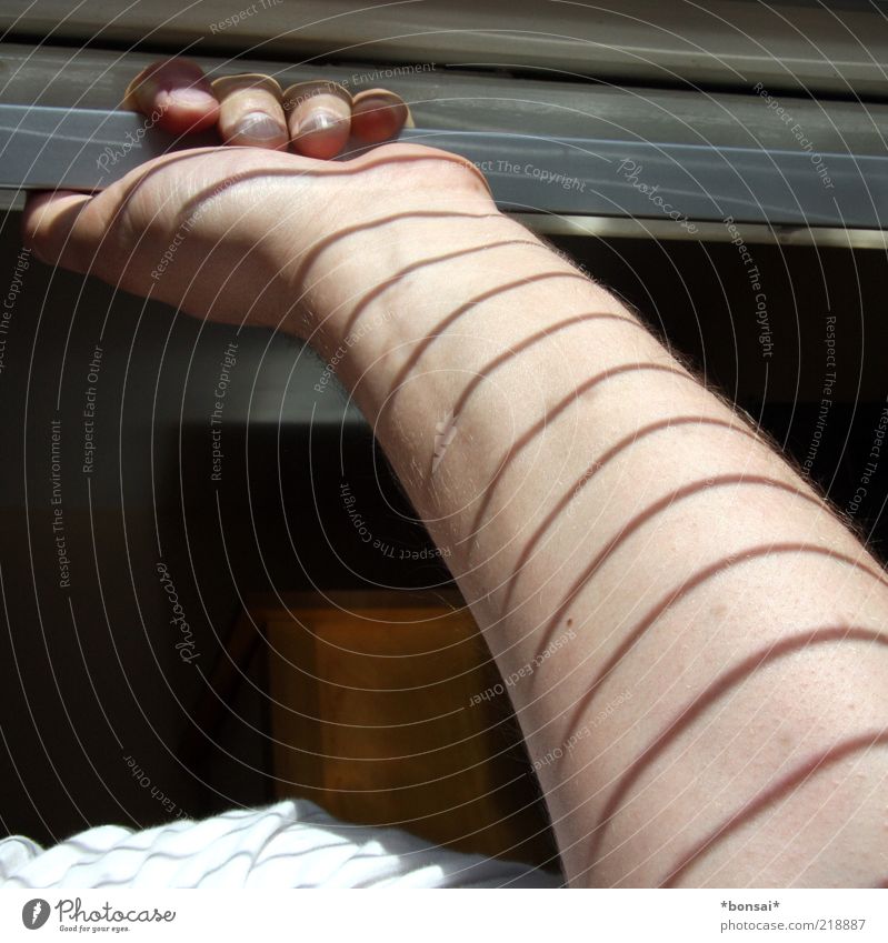 streak-sleeved Well-being Masculine Arm Hand 1 Human being Window Venetian blinds Stripe Touch To hold on To enjoy Illuminate Warmth Calm Contentment