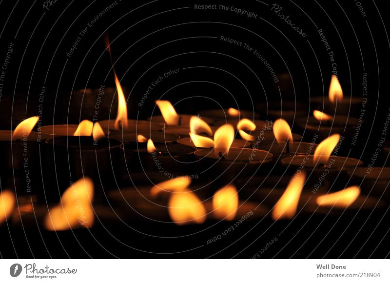 Sea of Lights Candle Warmth Tea warmer candle Flame Colour photo Interior shot Close-up Day Shadow Contrast Light (Natural Phenomenon) Candlelight Many Multiple