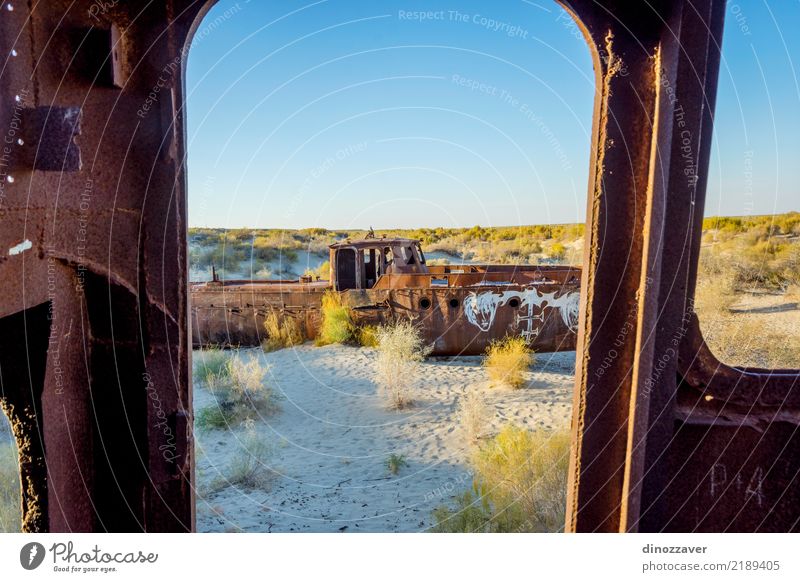 Rusted vessel in the ship cemetery, Uzbekistan Ocean Group Environment Nature Landscape Sand Climate Climate change Lake Ruin Watercraft Dead animal Death