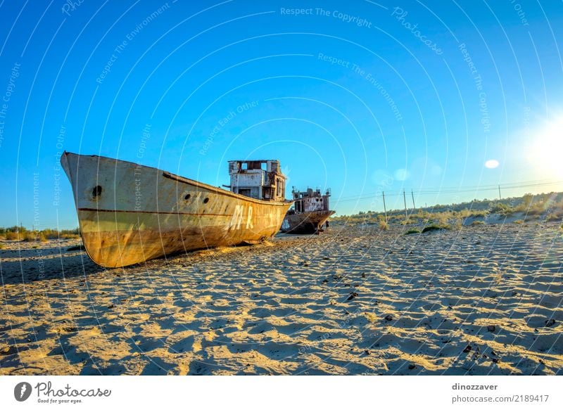 Rusted vessel in the ship cemetery, Uzbekistan Ocean Environment Nature Landscape Sand Climate Climate change Lake Ruin Watercraft Dead animal Death Disaster