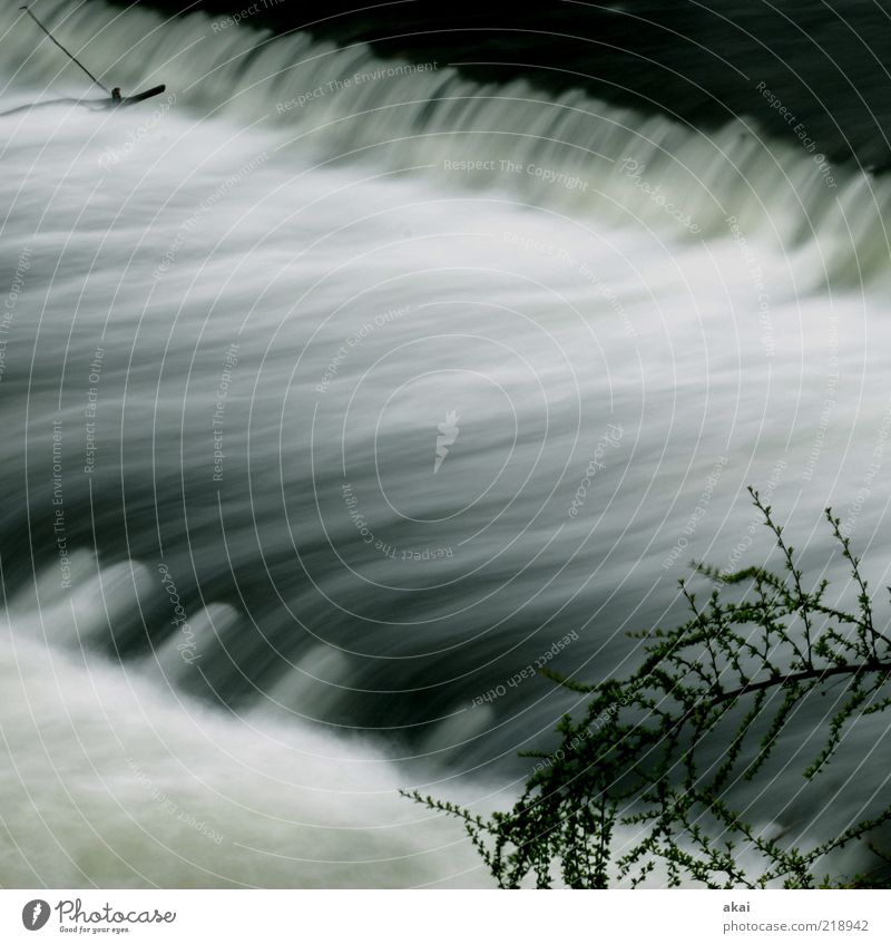 3sam Water Brook River Waterfall Gray Emotions Moody Environment Colour photo Exterior shot Long exposure motion blur Dreisam Mountain torrent Current Rapid