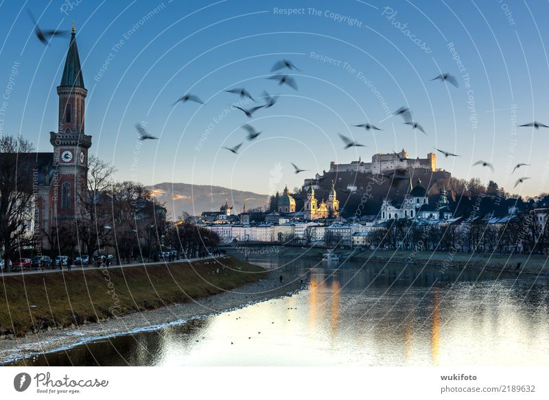 CITY: Salzburg Town Church Dome Castle Landmark Moody Salzach Fortress Landscape format Horizontal Salzburg cathedrale "Birds," Austria Blue sky "Landmark,"