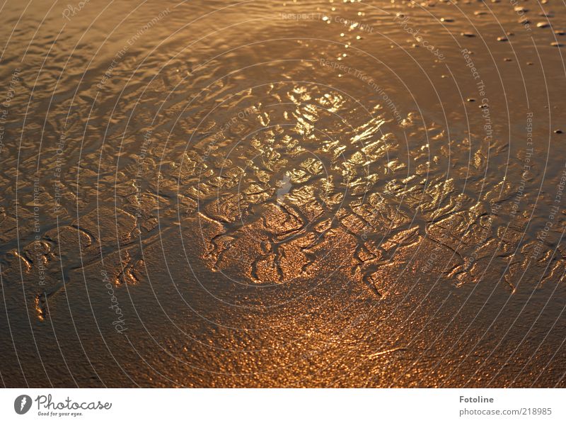 patterns of nature Environment Nature Elements Water Coast Beach North Sea Wet Natural Brown Gold Tideway Pattern Low tide Orange Colour photo Subdued colour