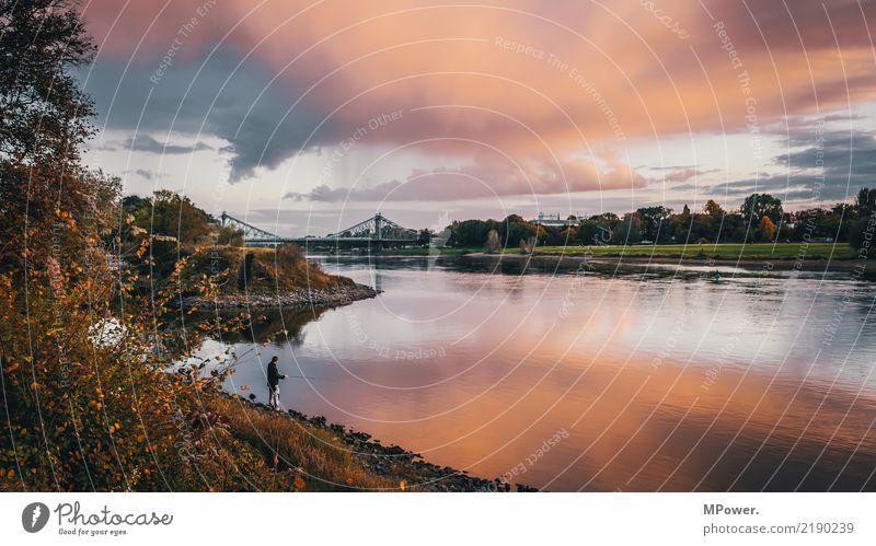 angler hotspot Environment Sky Beautiful weather Gale Bridge Adventure Dusk Angler Fishing (Angle) Elbe Cloud formation River bank Autumn Reflection Water