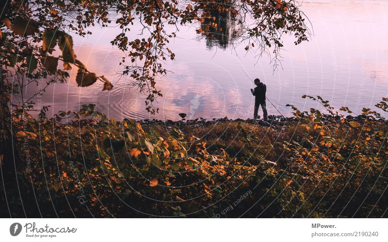 idyllic fishing village Leisure and hobbies Fishing (Angle) Human being Masculine 1 Environment Nature Beautiful weather Emotions Joy Fishing rod Reflection