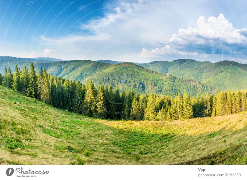 Green Forest Hill Landscape As a High Definition Panorama Stock Photo -  Image of nature, landscape: 199618368