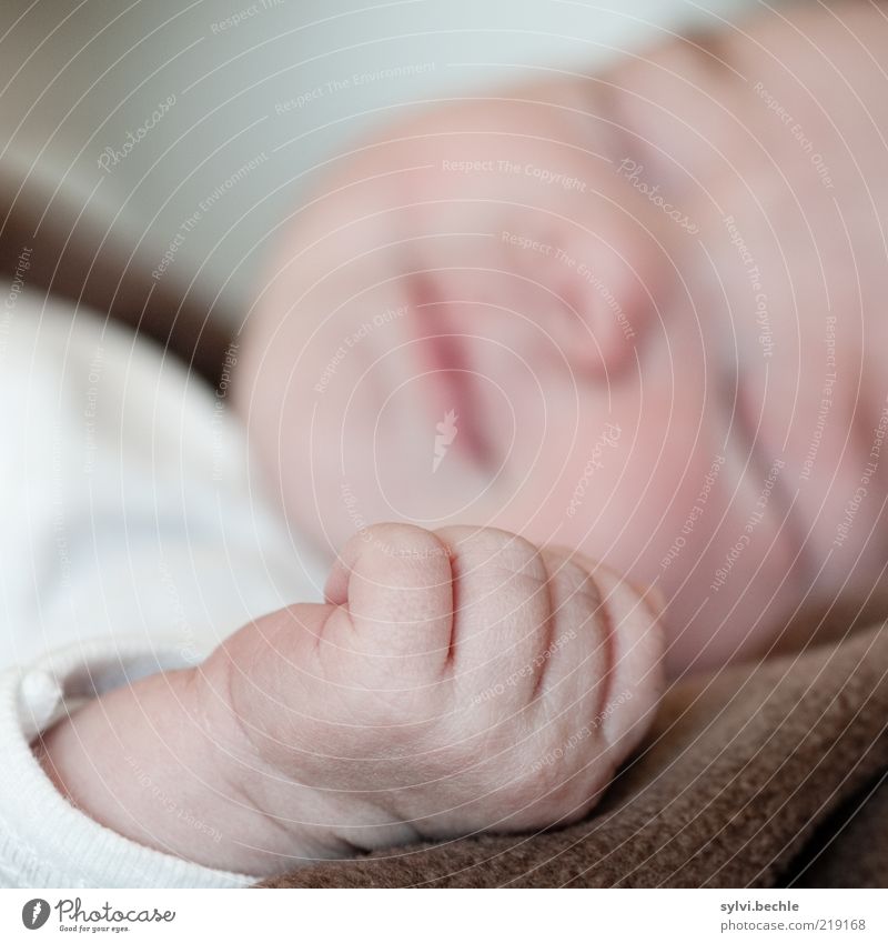 A hand this small... Well-being Contentment Relaxation Calm Human being Child Baby Girl Infancy Head Eyes Nose Mouth Hand 0 - 12 months Smiling Sleep Healthy