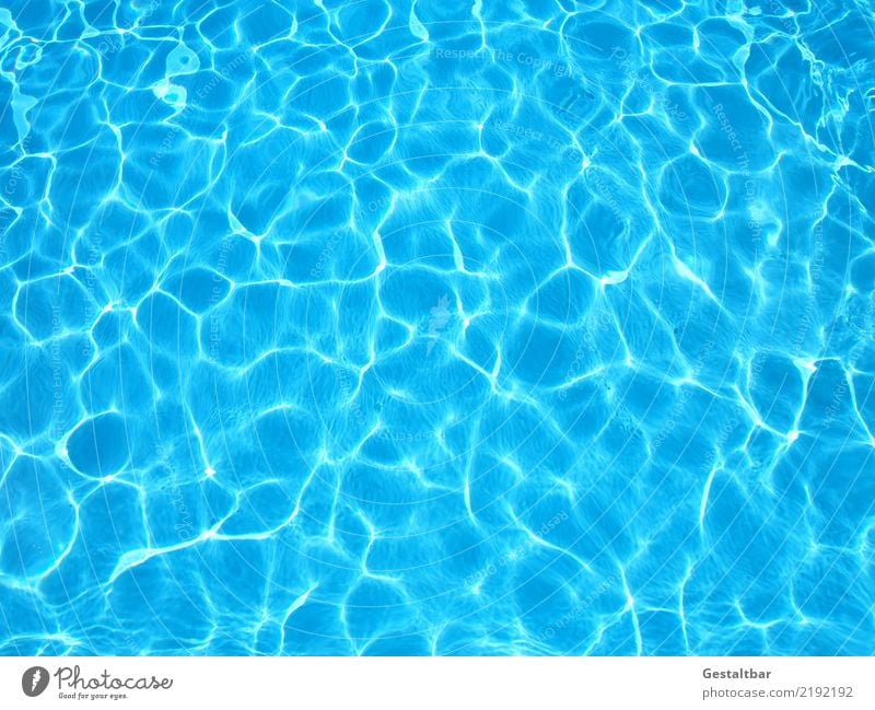 Water in the outdoor pool Swimming pool Vacation & Travel Summer Summer vacation Sun Sunbathing Sports Aquatics Swimming & Bathing Dive Diet Movement Fitness
