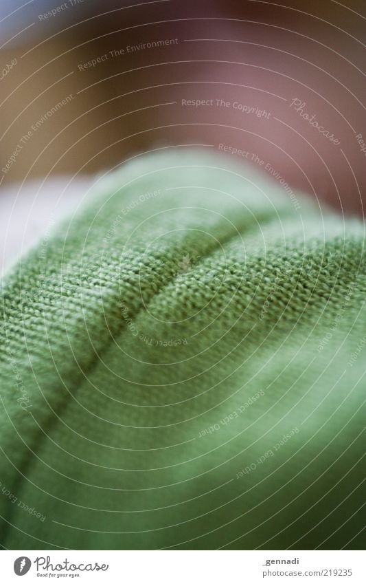 structure Clothing Sweater Wool Green sleeve Blur Part Colour photo Interior shot Pattern Structures and shapes Copy Space top Copy Space bottom Day