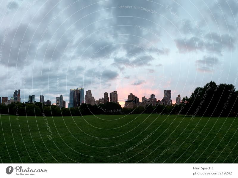 Sheep Meadow at Dusk Tree Park New York City Central Park Gray Green Skyline High-rise Empty Peaceful Clouds in the sky Cloud formation Colour photo