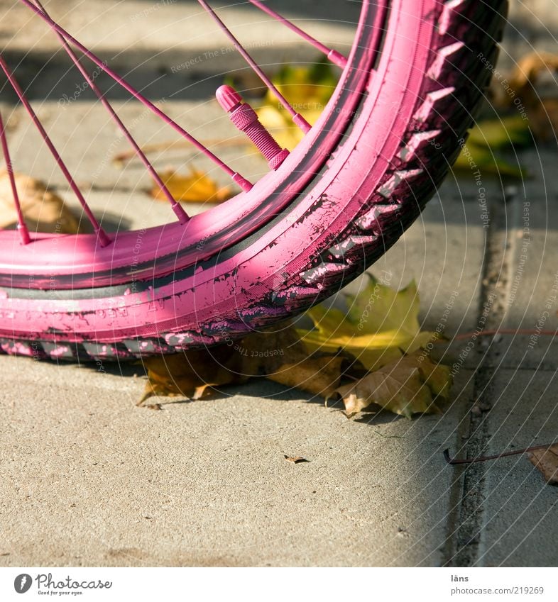 pink even Lanes & trails Concrete Pink Mobility Change Bicycle tyre Valve Tire tread Spokes Leaf Autumn Autumn leaves Colour photo Multicoloured Exterior shot