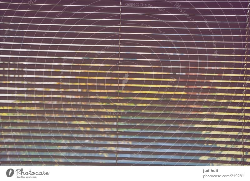 transparency Glass Roller shutter Window Window pane Living or residing Unclear Section of image View from a window Hidden Venetian blinds Background picture