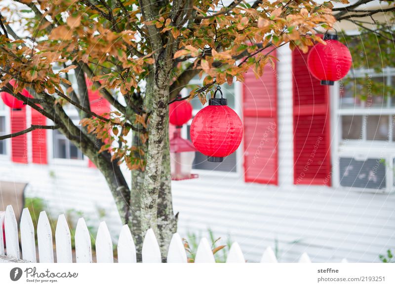 Christmas tree Autumn Tree Detached house Exceptional New England Lampion Glitter Ball Christmas & Advent Hallowe'en Illuminate Idyll Colour photo Multicoloured