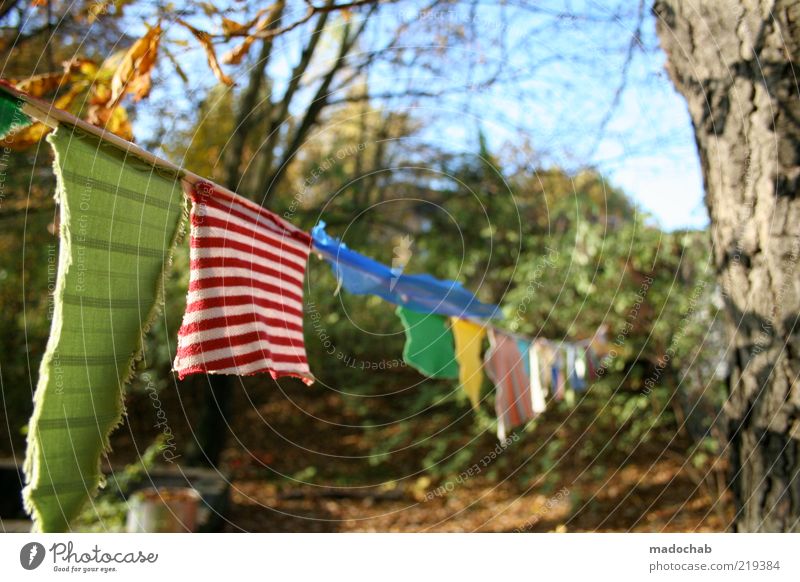 summer Garden Environment Beautiful Emotions Moody Esthetic Clothesline Colour photo Multicoloured Exterior shot Day Contrast Light (Natural Phenomenon)