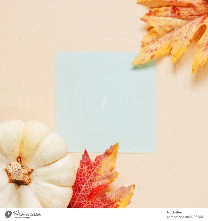 B&#3642;lank paper with autumn leaves and pumpkin Lifestyle Style Design Beautiful Decoration Thanksgiving Hallowe'en Art Nature Plant Autumn Leaf Fashion Paper
